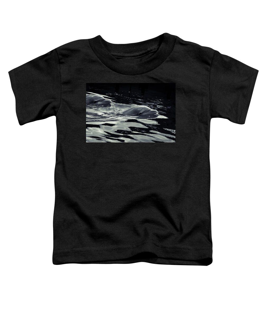 Dolphins Swimming Toddler T-Shirt featuring the photograph Dolphin Swimming by Michael Podesta 