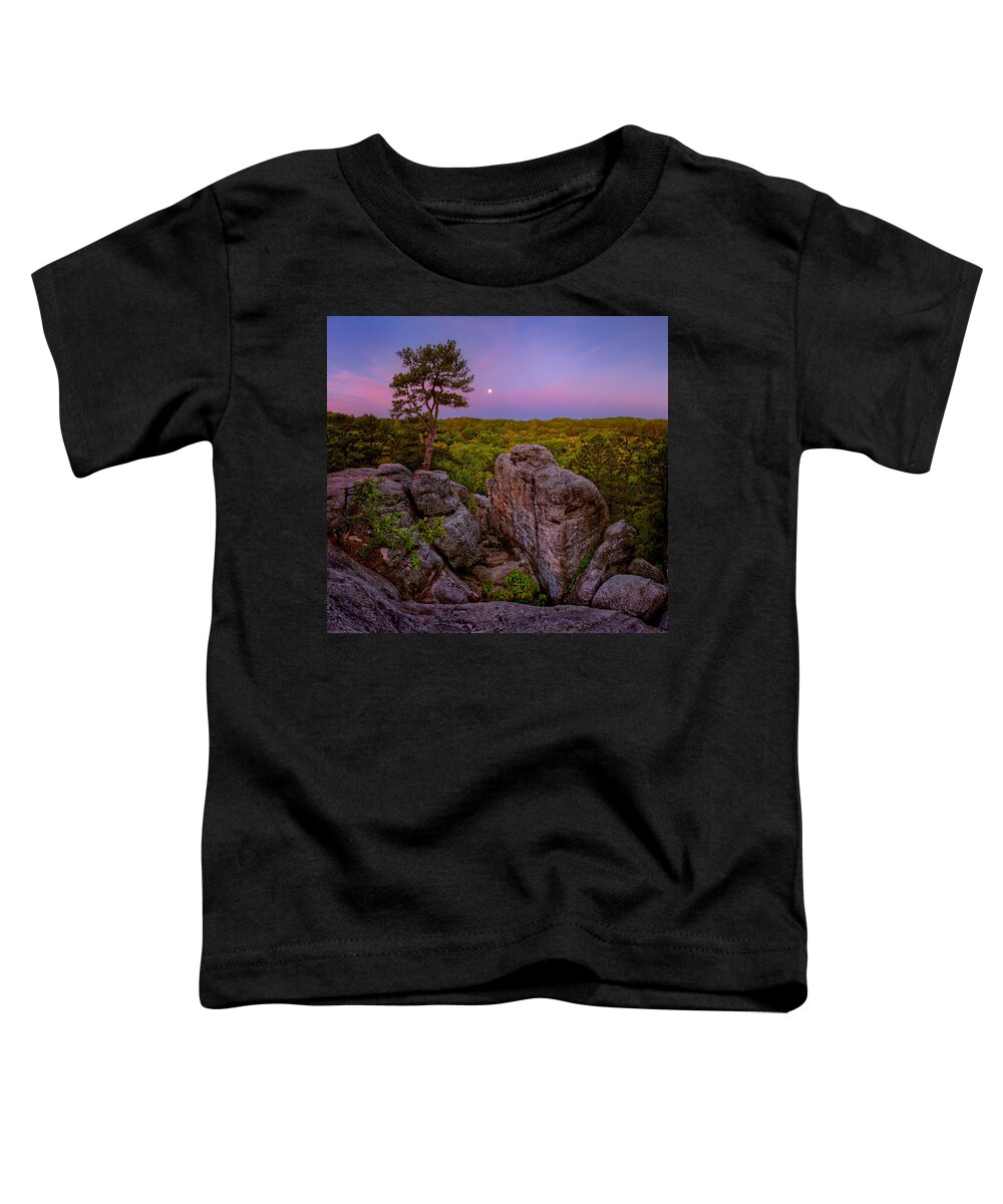 2012 Toddler T-Shirt featuring the photograph Dome Rock by Robert Charity