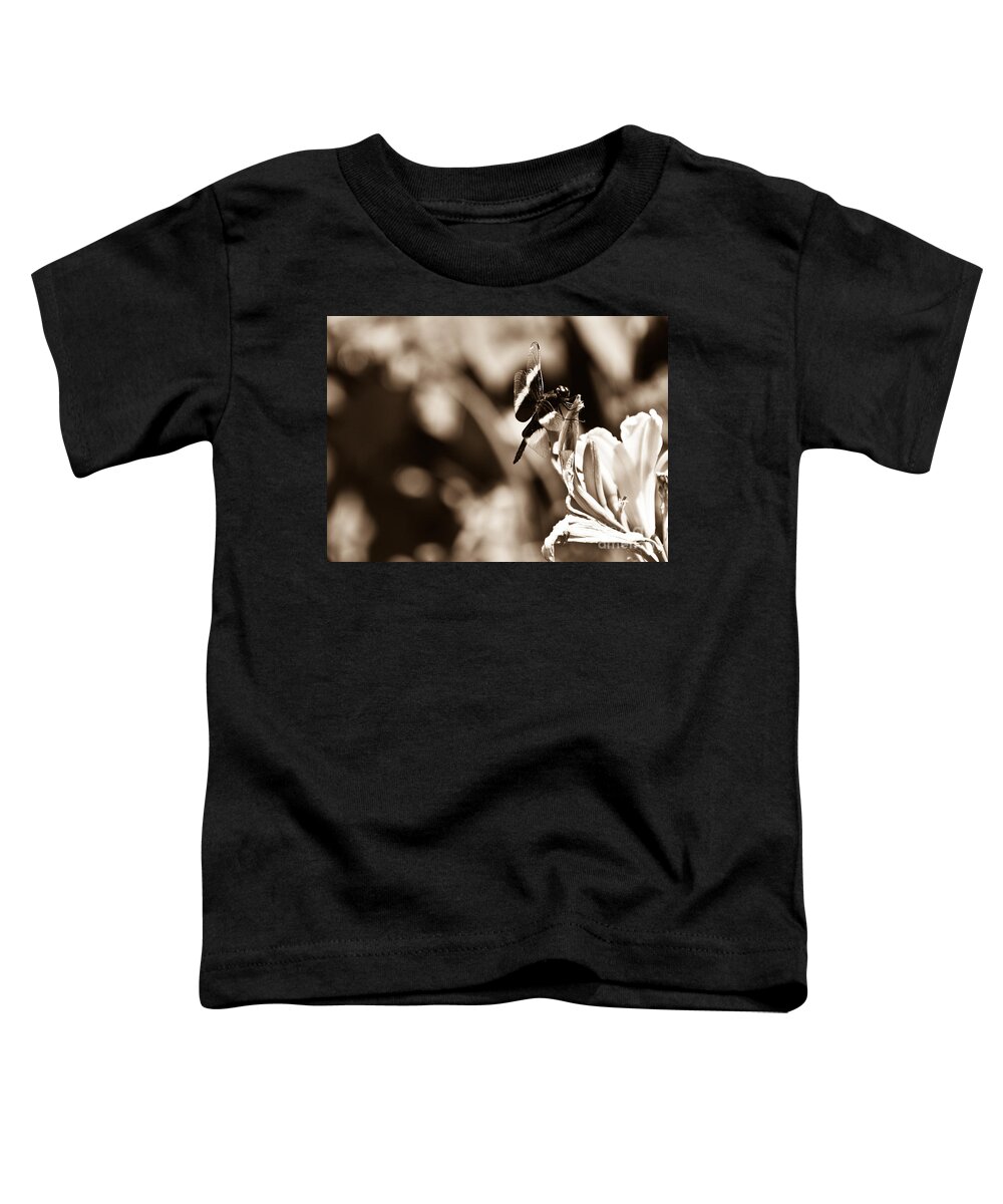 Widow Skimmer Toddler T-Shirt featuring the photograph Dragonfly of Old by Cheryl Baxter
