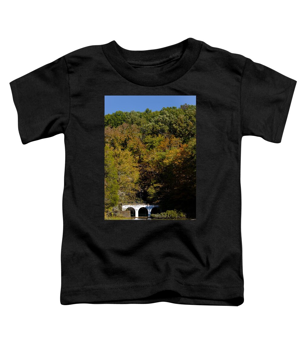 Cave Toddler T-Shirt featuring the photograph Dunbar Cave and Swan Lake by Ed Gleichman