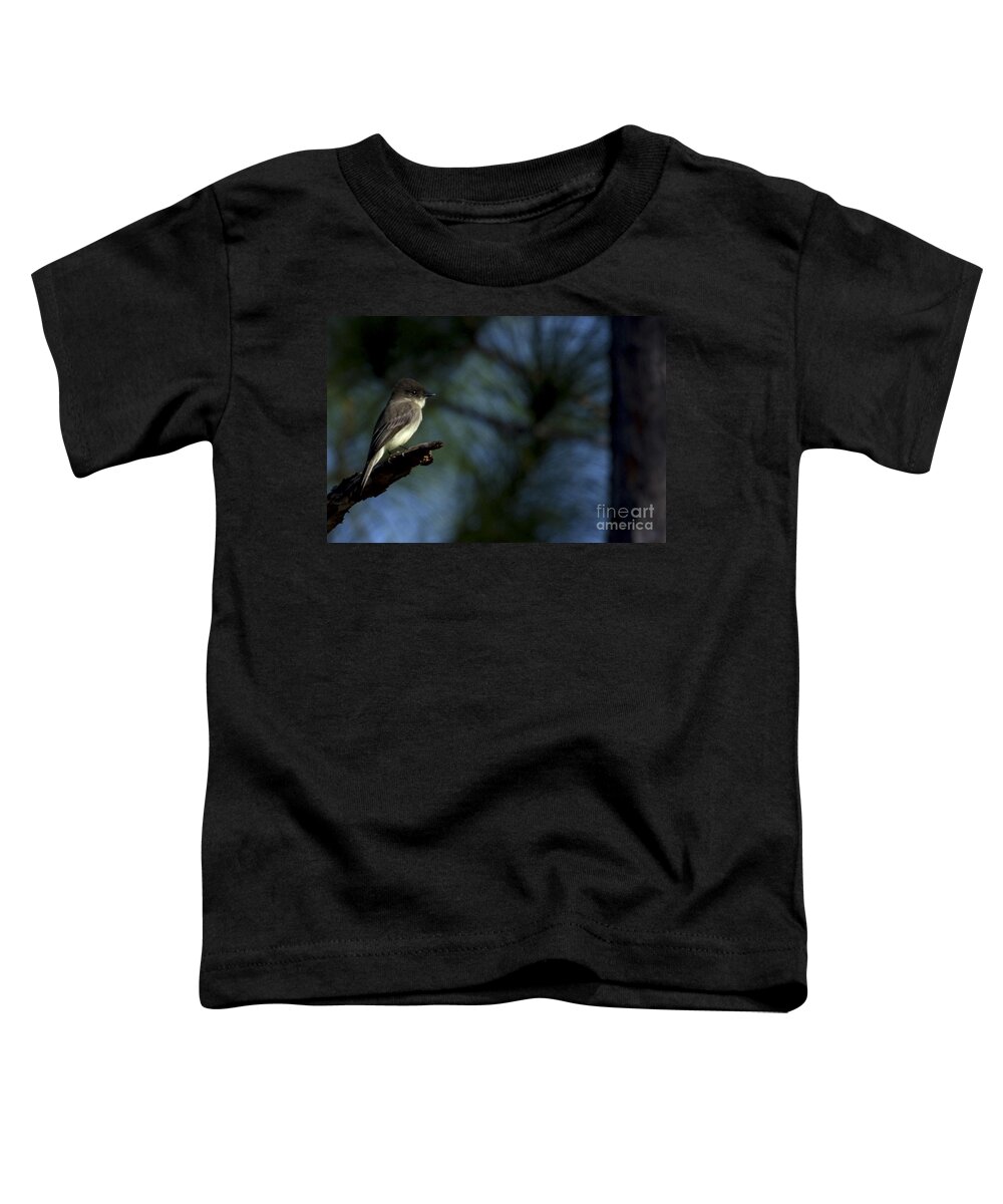 Prairie Pines Toddler T-Shirt featuring the photograph Eastern Phoebe by Meg Rousher