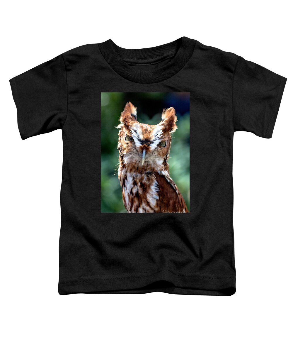 Color Toddler T-Shirt featuring the photograph Eastern Screech-Owl by Bernd Laeschke