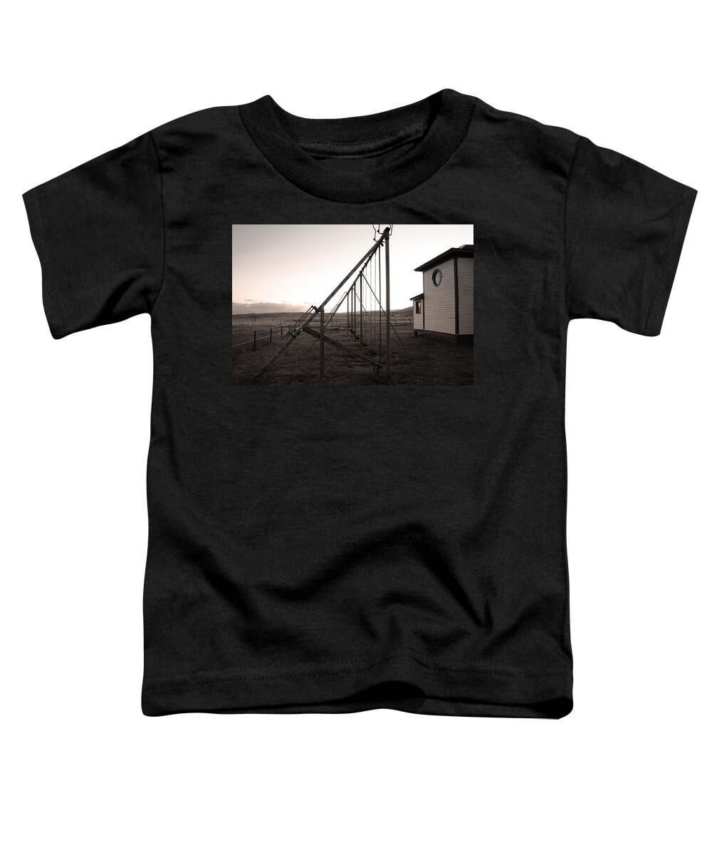 Playground Toddler T-Shirt featuring the photograph Echoes of Laughter by Jim Garrison