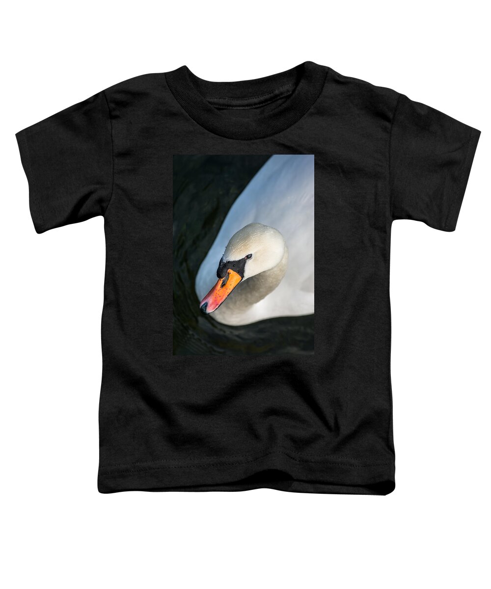 Swan Toddler T-Shirt featuring the photograph Elegant Swan by Andreas Berthold