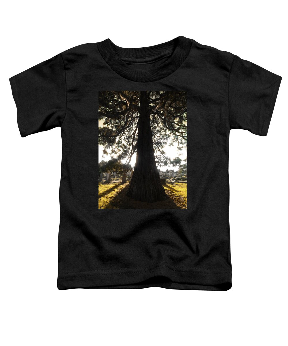 Art Toddler T-Shirt featuring the photograph Embracing the Morning Light by Steve Taylor