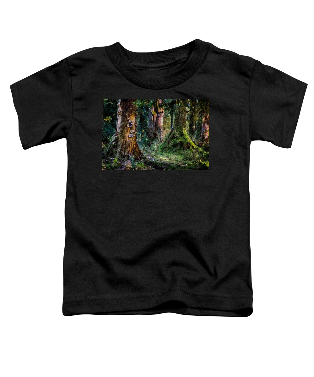 Tree Toddler T-Shirt featuring the photograph Enchanted Forest by Robert Woodward