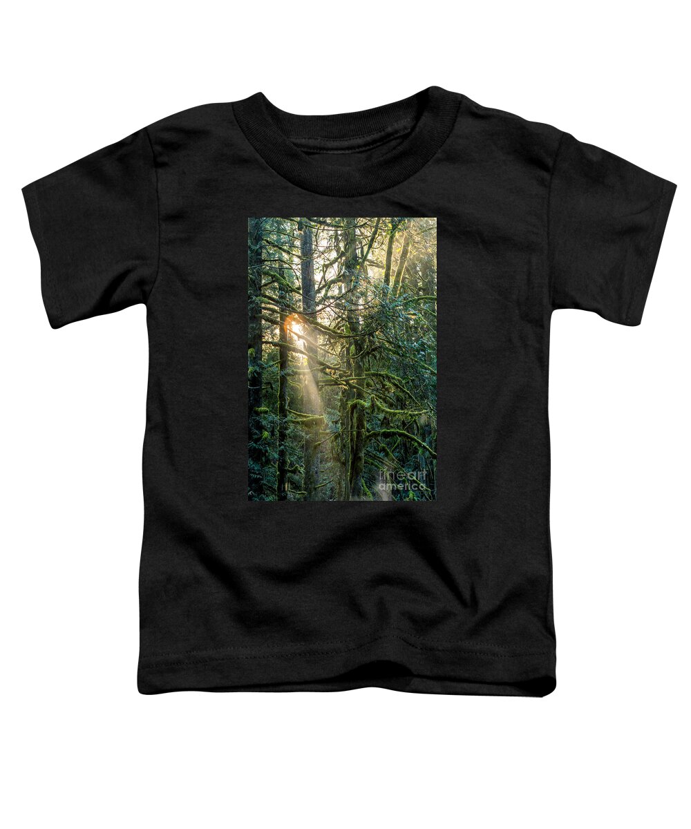 Sunlight Toddler T-Shirt featuring the photograph Enchanted Forest by Alanna DPhoto