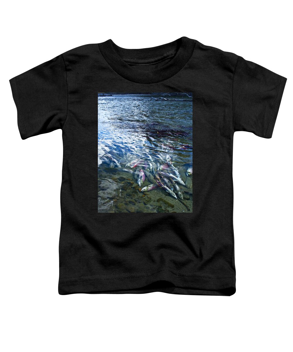 Salmon Toddler T-Shirt featuring the photograph Ending To Begin by Theresa Tahara
