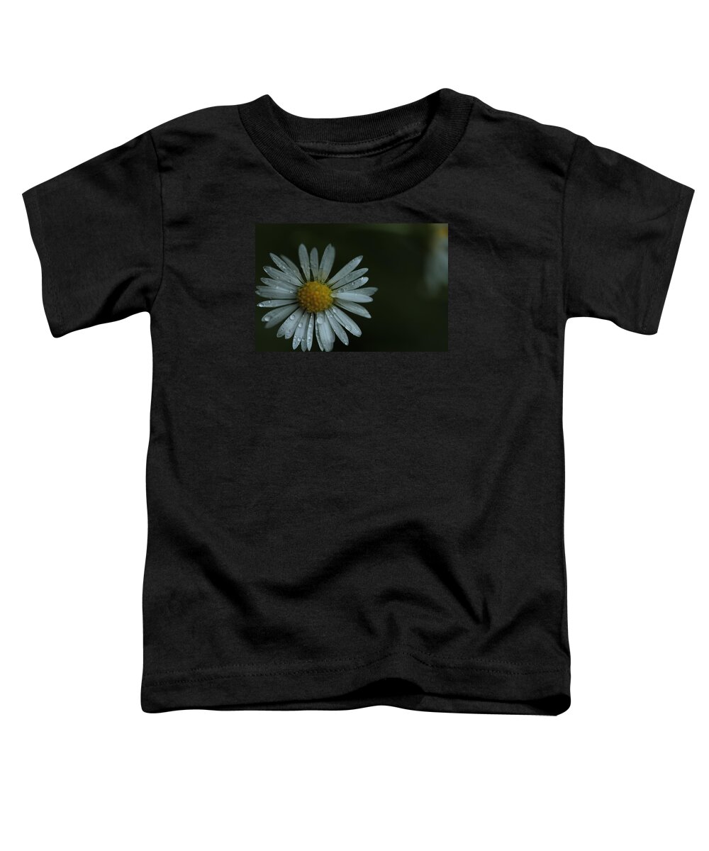 Daisy Toddler T-Shirt featuring the photograph English Daisy and Rain Drops by Valerie Collins