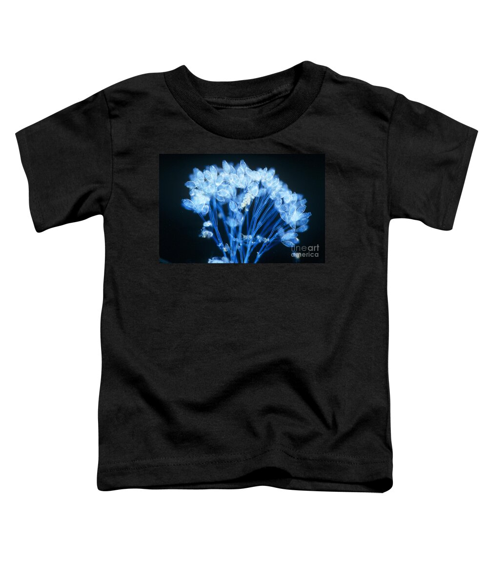 Microorganism Toddler T-Shirt featuring the photograph Epistylis by Michael Abbey