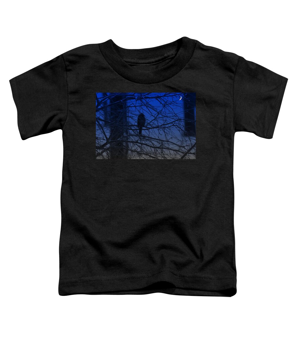 Profile Toddler T-Shirt featuring the photograph Evening Fell by Barbara S Nickerson
