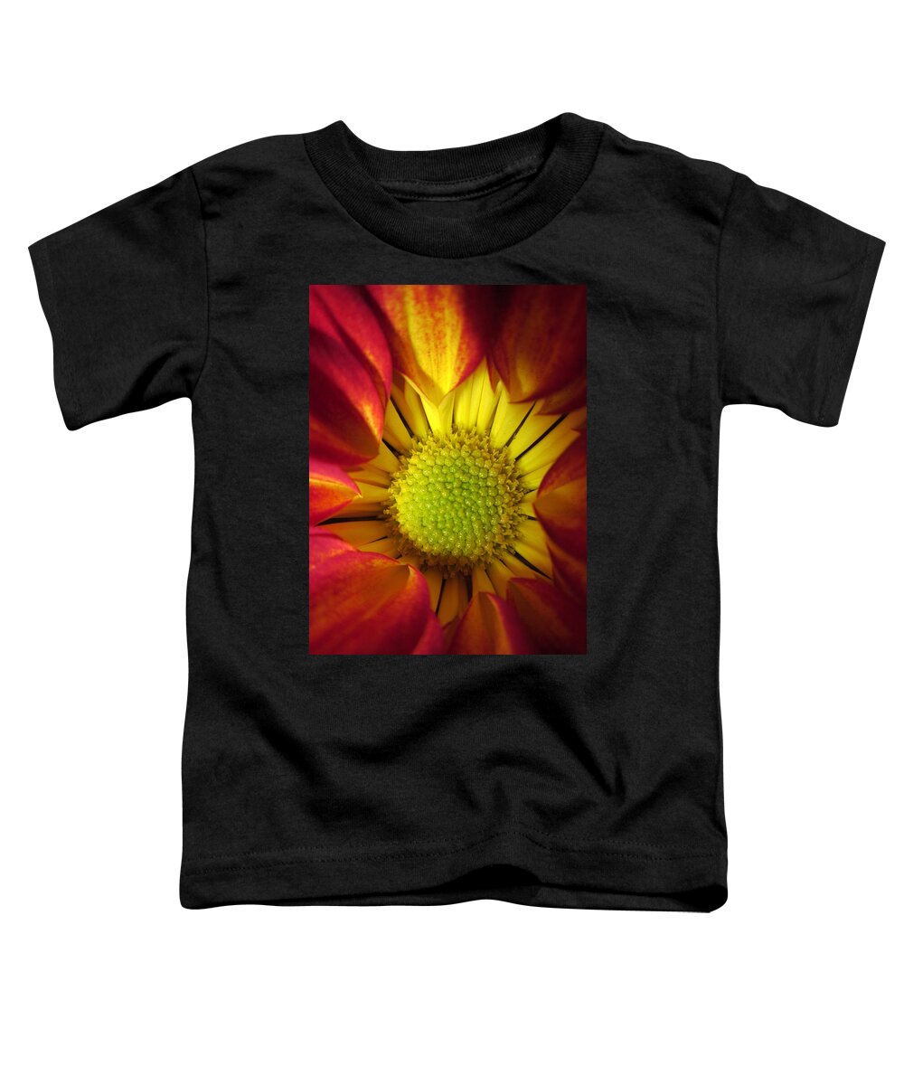 Stamens Toddler T-Shirt featuring the photograph Eye Candy by Rosita Larsson