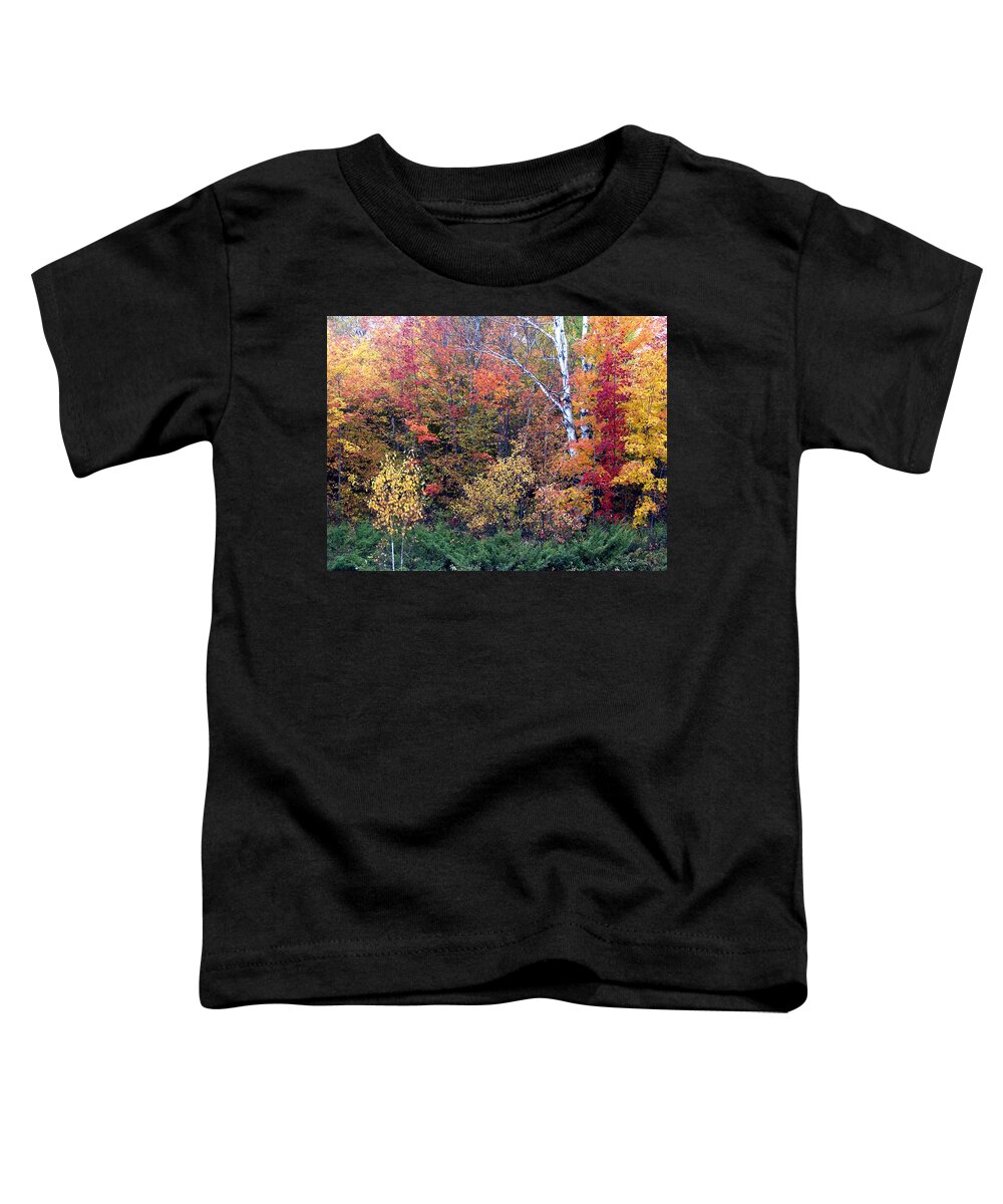 Fall Toddler T-Shirt featuring the photograph Fall Colors Near Ellison Bay by David T Wilkinson