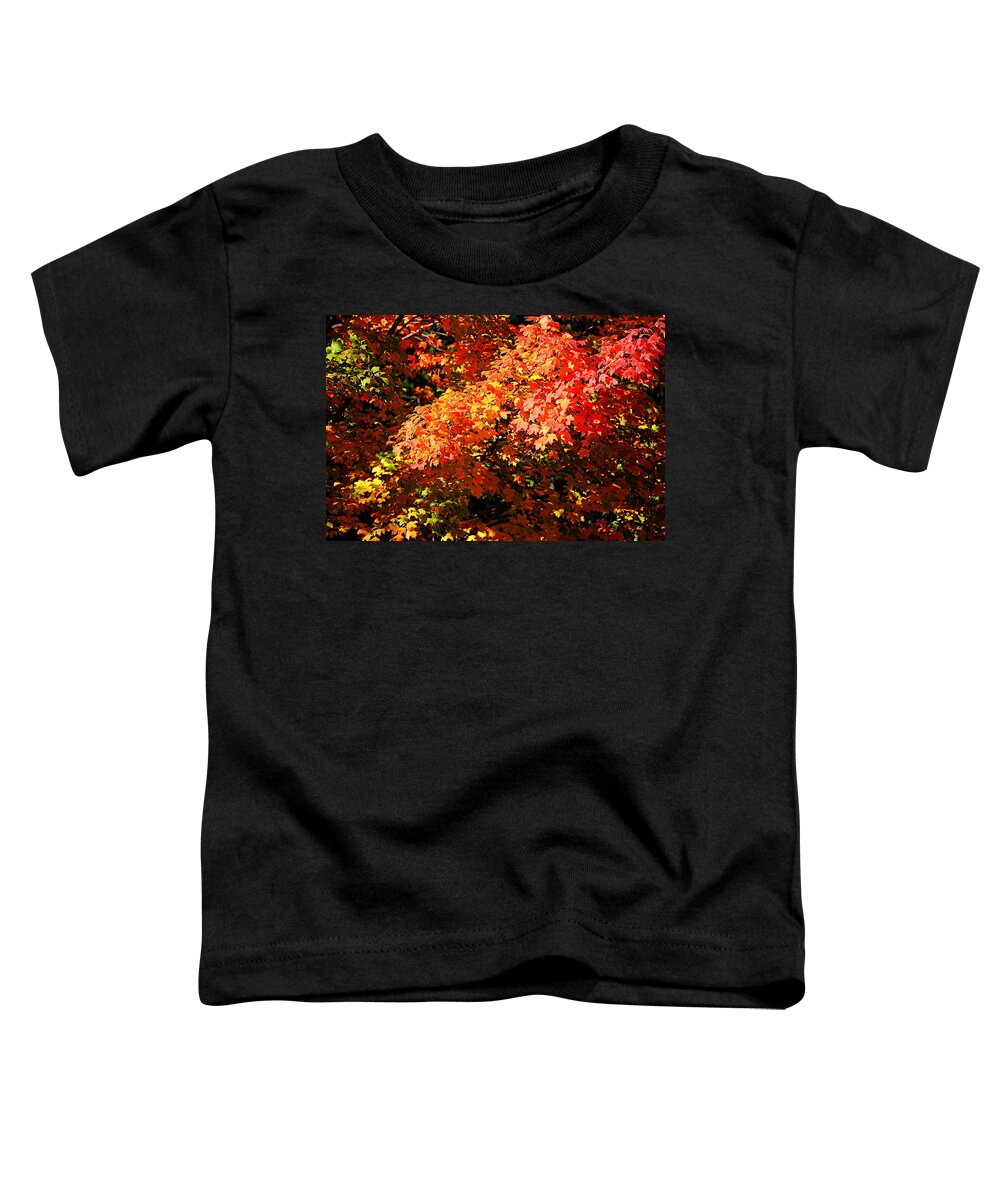 Autumn Toddler T-Shirt featuring the photograph Fall Foliage Colors 21 by Metro DC Photography