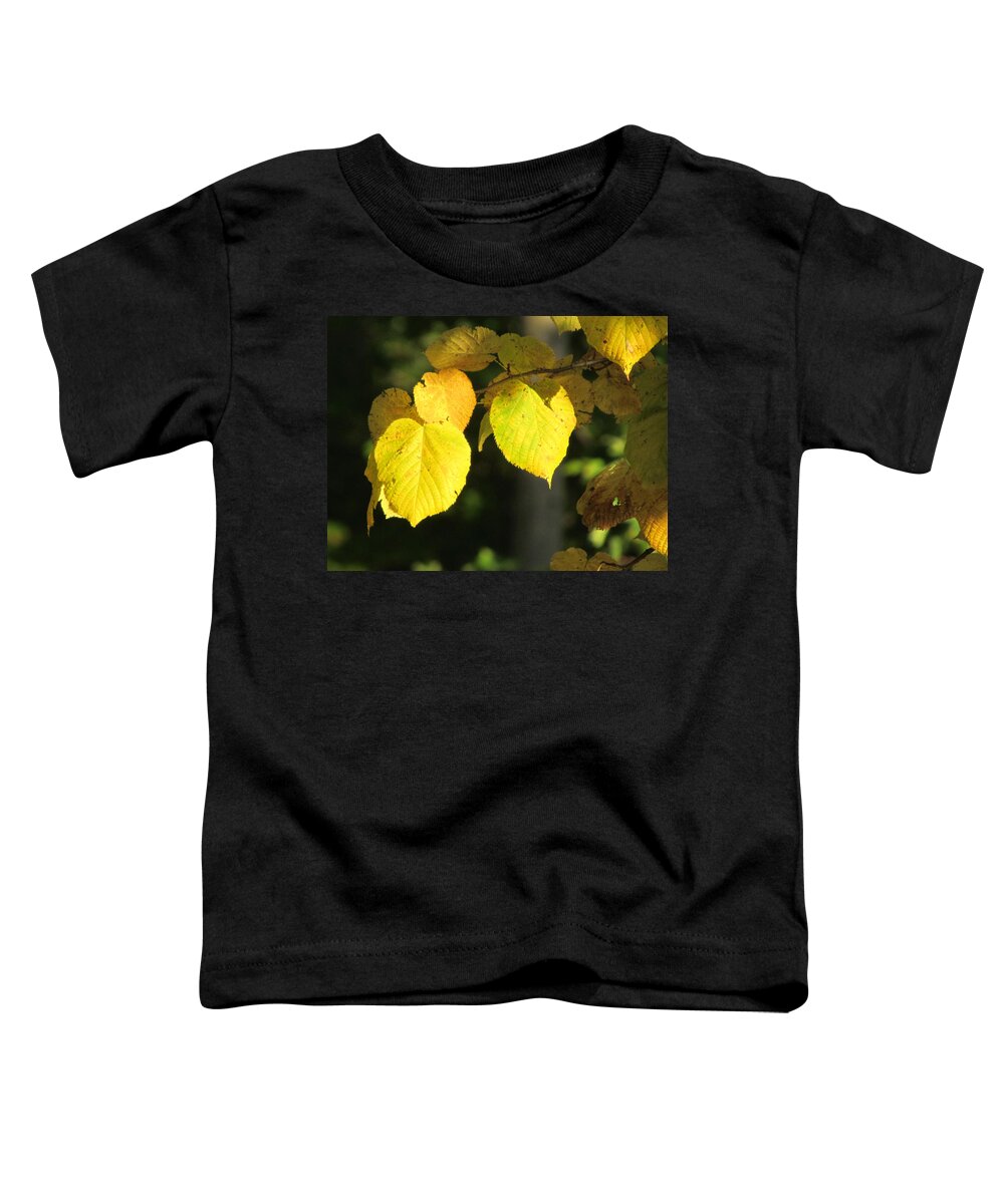 Beech Tree Toddler T-Shirt featuring the photograph Fall Yellow Beech Leaves by David T Wilkinson