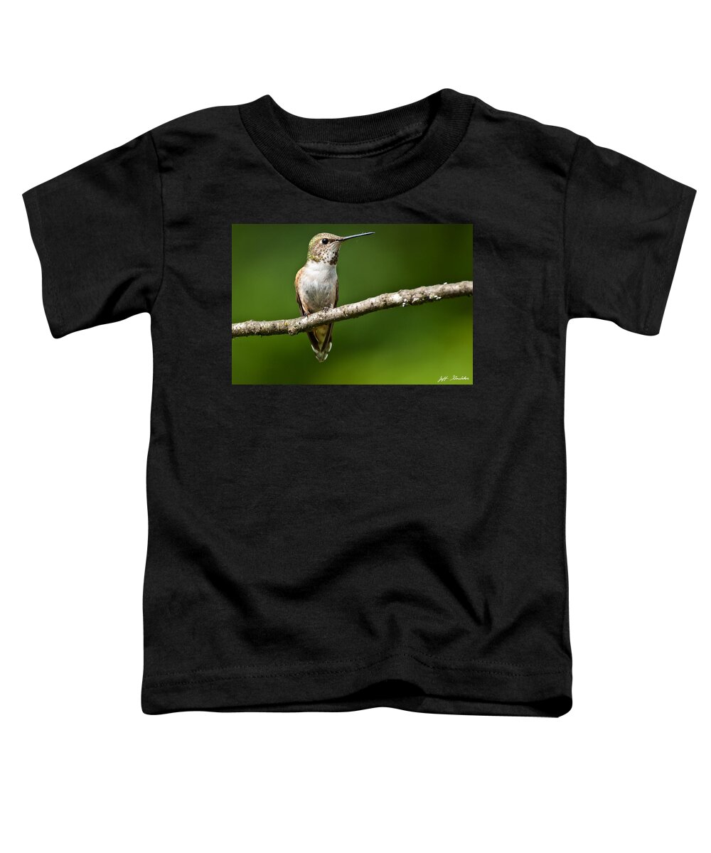 Adult Toddler T-Shirt featuring the photograph Female Rufous Hummingbird in a Tree by Jeff Goulden