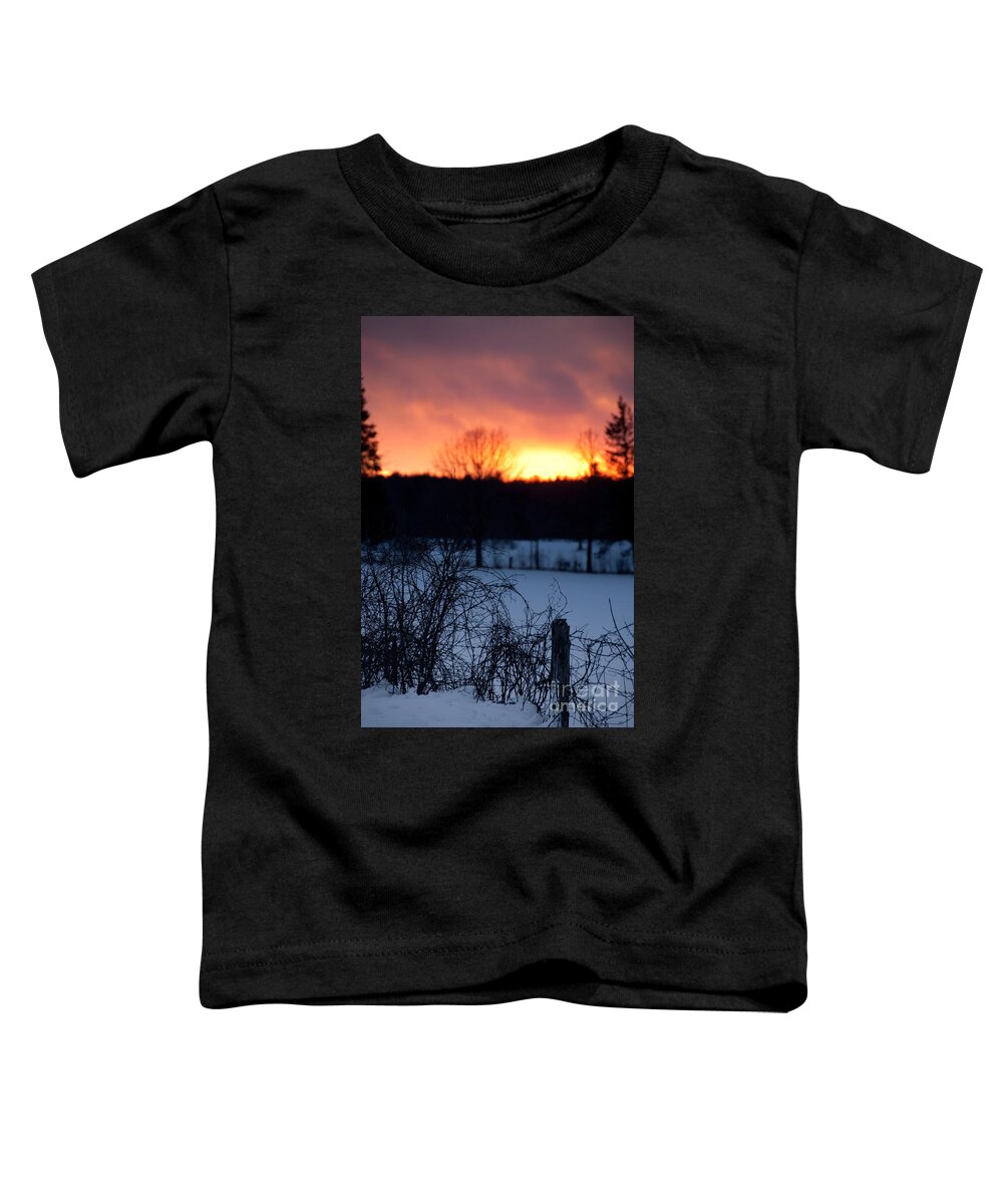 Sunset Sky Toddler T-Shirt featuring the photograph Fenced in Sunset by Cheryl Baxter