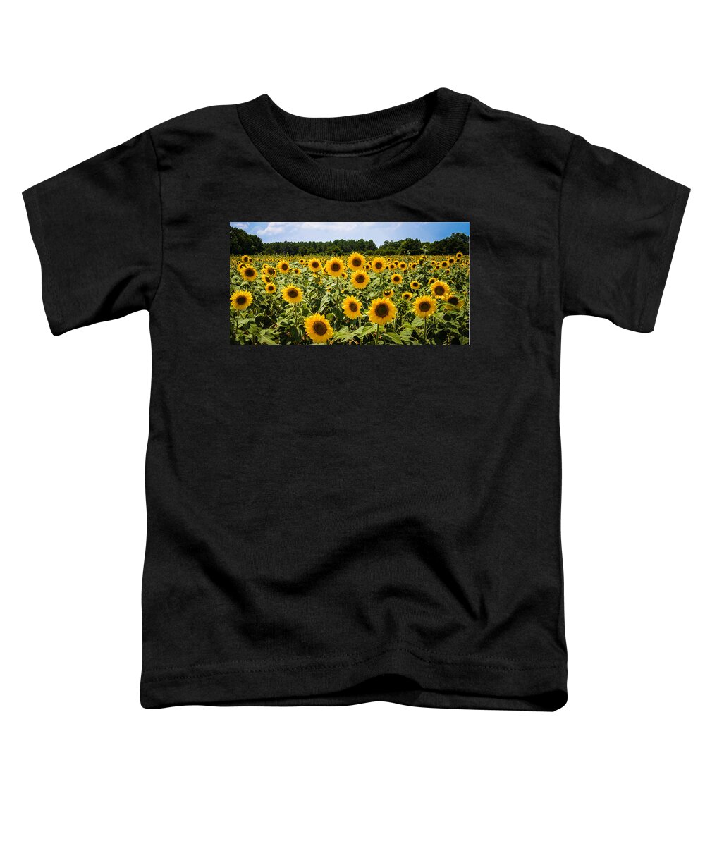 Penny Lisowski Toddler T-Shirt featuring the photograph Field of Sunflowers by Penny Lisowski