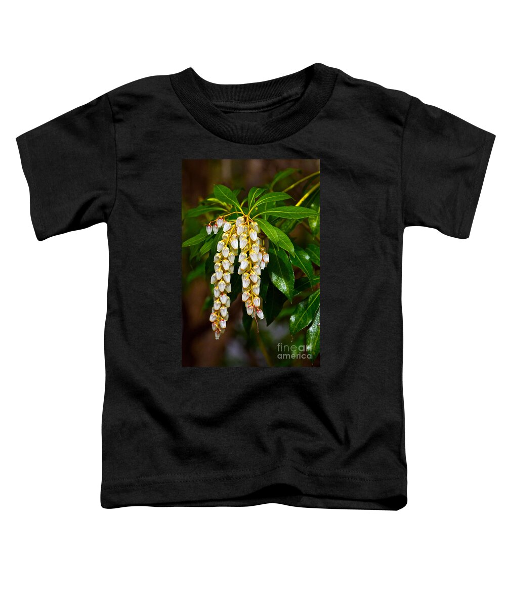 Pieris Japonica Toddler T-Shirt featuring the photograph Floral Hanging Lanterns from Japan by Byron Varvarigos