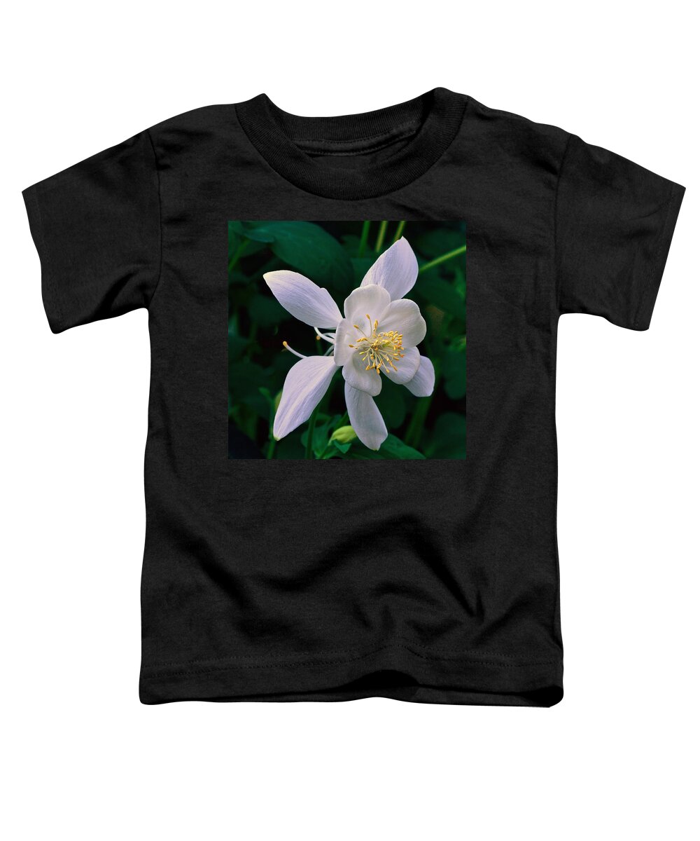 Floral White And Gold Toddler T-Shirt featuring the photograph Floral White And Gold by Byron Varvarigos