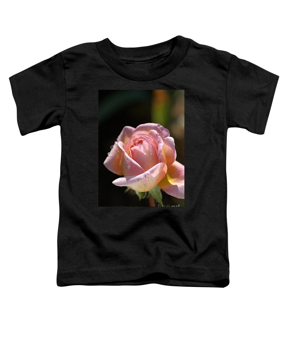 Abraham Darby Rose Flower Toddler T-Shirt featuring the photograph Flower-pink And Yellow Rose-bud by Joy Watson