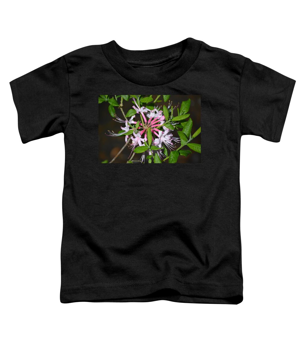 Pink Toddler T-Shirt featuring the photograph Flower Wheel by Tara Potts