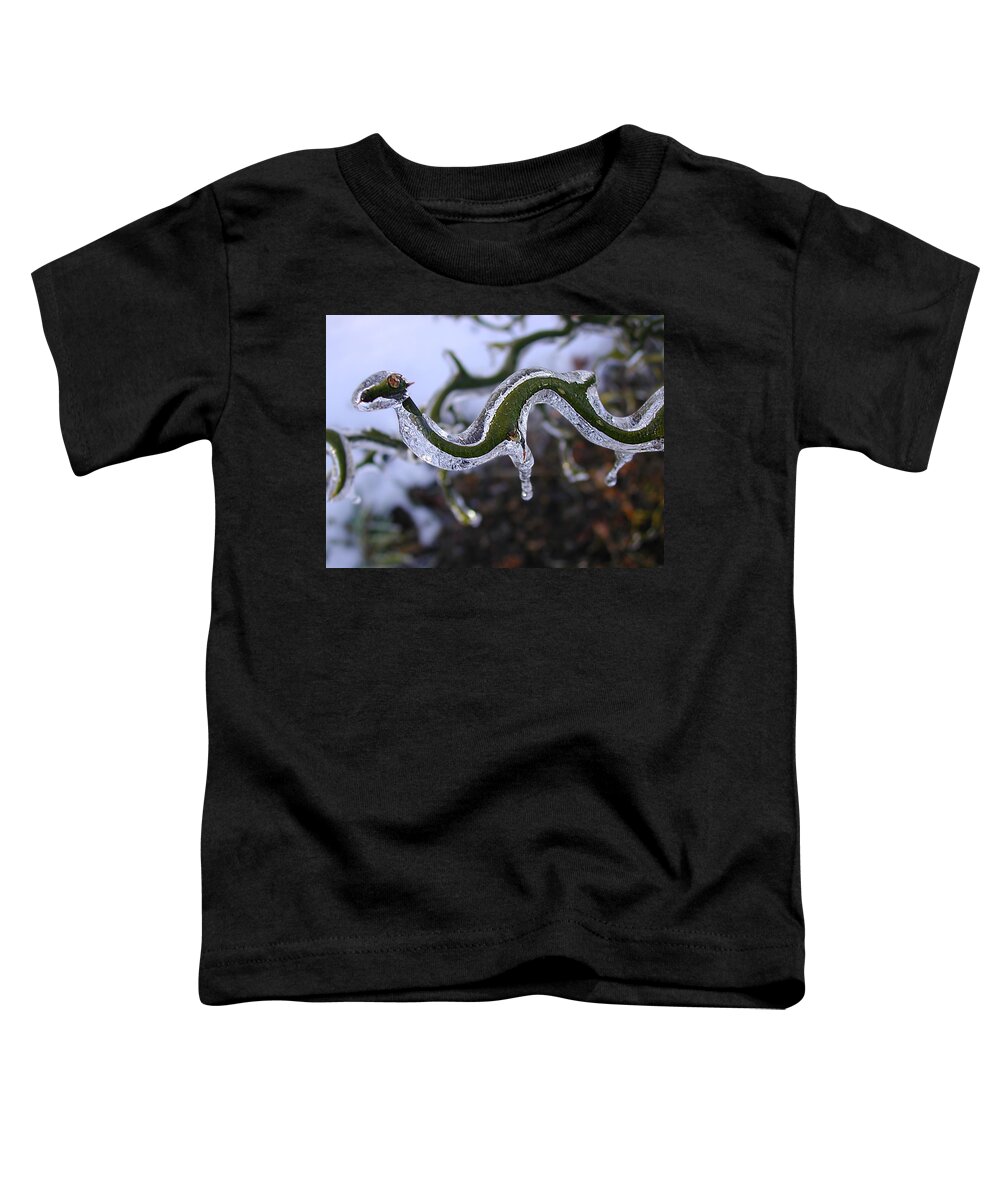 Tree Toddler T-Shirt featuring the photograph Flying Dragon by Mike Kling