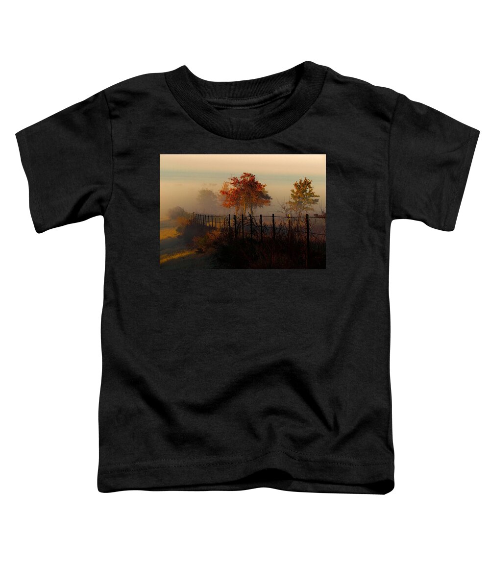 Trees Toddler T-Shirt featuring the photograph Foggy Field in the Morning by Shannon Story