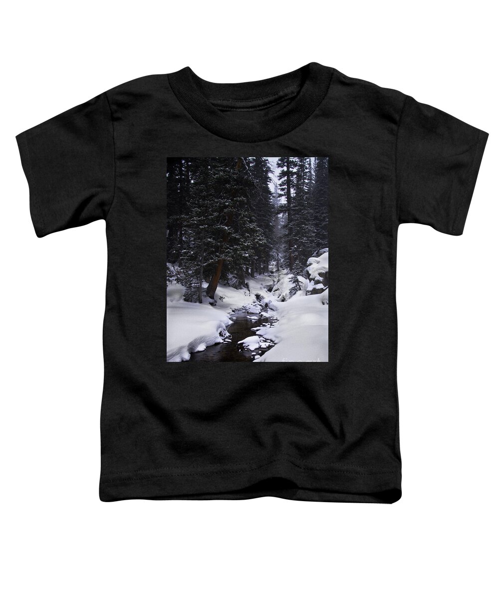 Landscape Toddler T-Shirt featuring the photograph Follow the Creek by Steven Reed