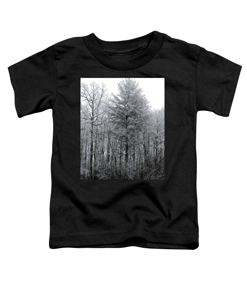 Landscape Toddler T-Shirt featuring the photograph Forest With Freezing Fog by Daniel Reed