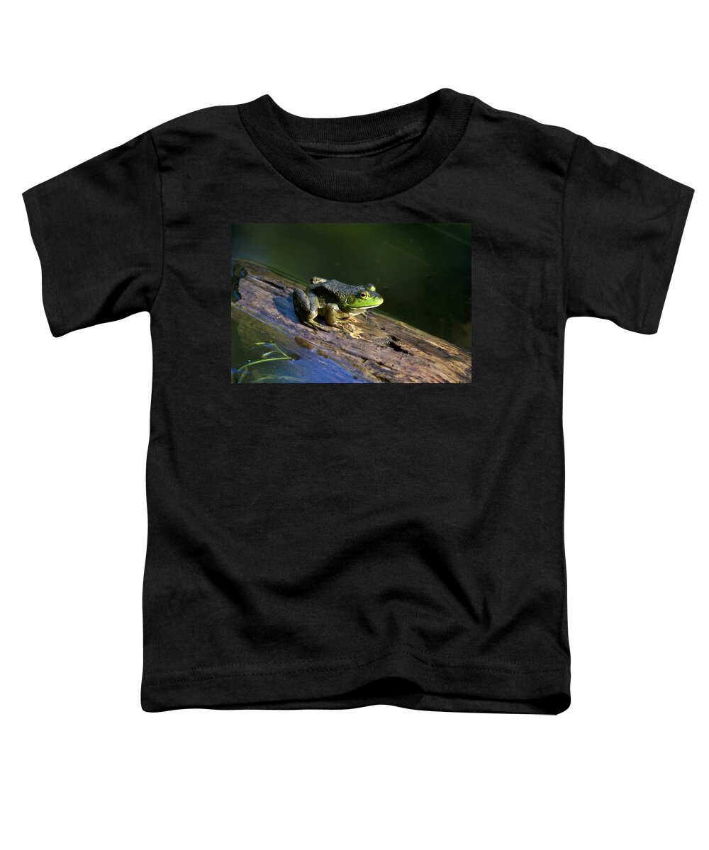 Bullfrog Toddler T-Shirt featuring the photograph Frog On A Log by Christina Rollo