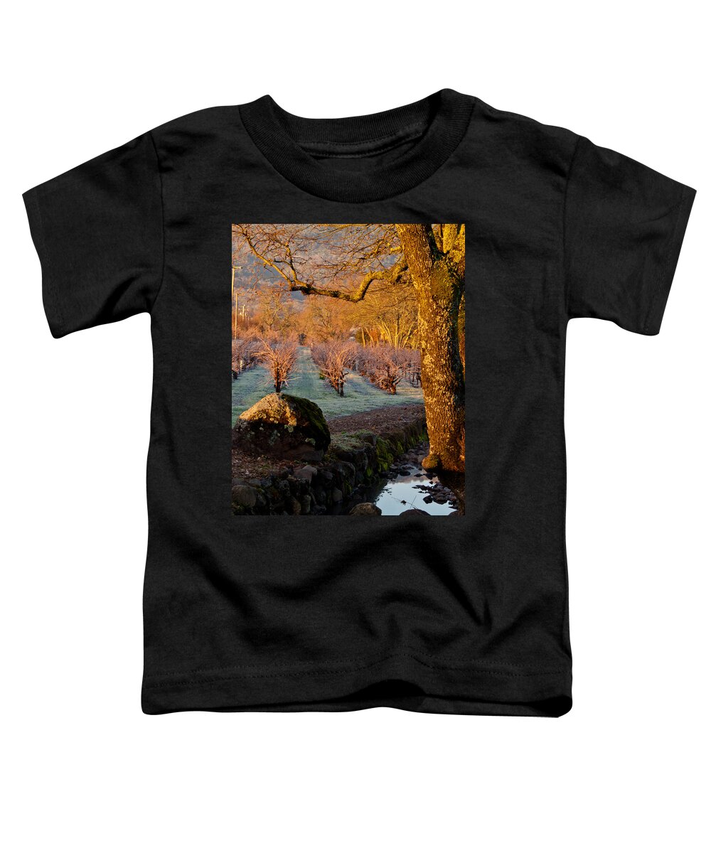 Oak Toddler T-Shirt featuring the photograph Frost in the Valley Of the Moon by Bill Gallagher