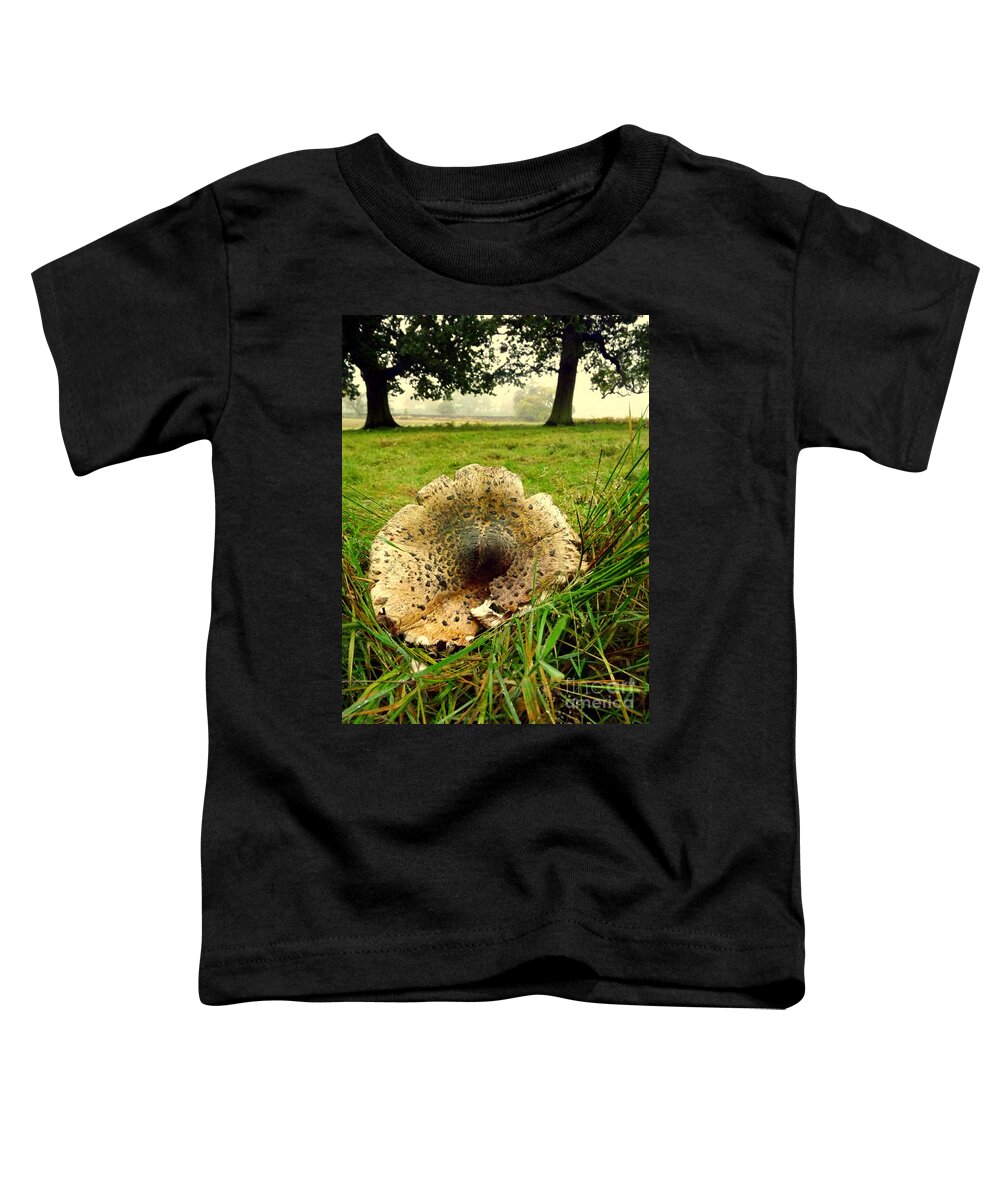Fungii Toddler T-Shirt featuring the photograph Fun-Guy by Linsey Williams