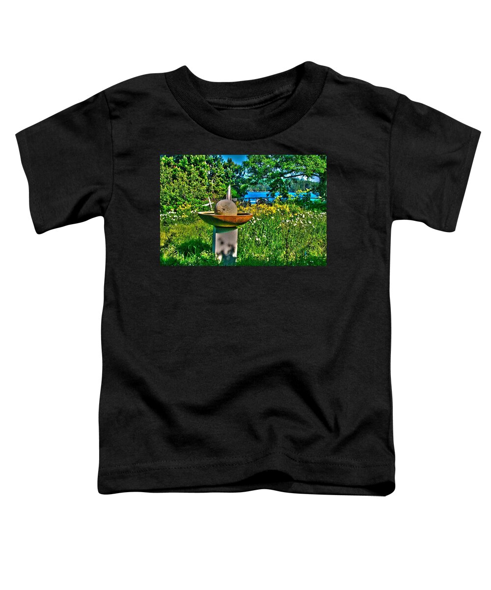 Landscape Toddler T-Shirt featuring the mixed media Gazing Ball by Alicia Kent