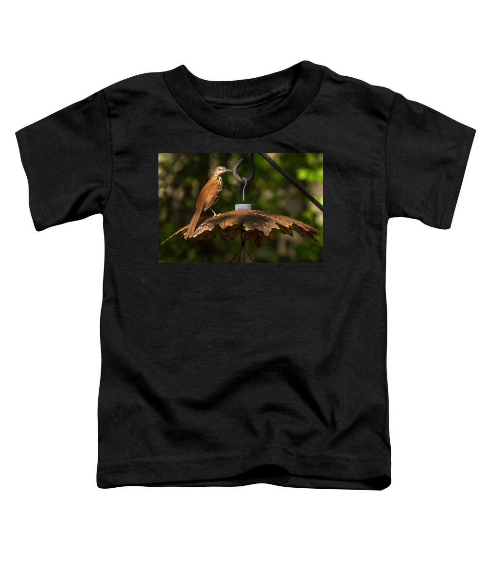 Brown Thrasher Toddler T-Shirt featuring the photograph Georgia State Bird - Brown Thrasher by Robert L Jackson