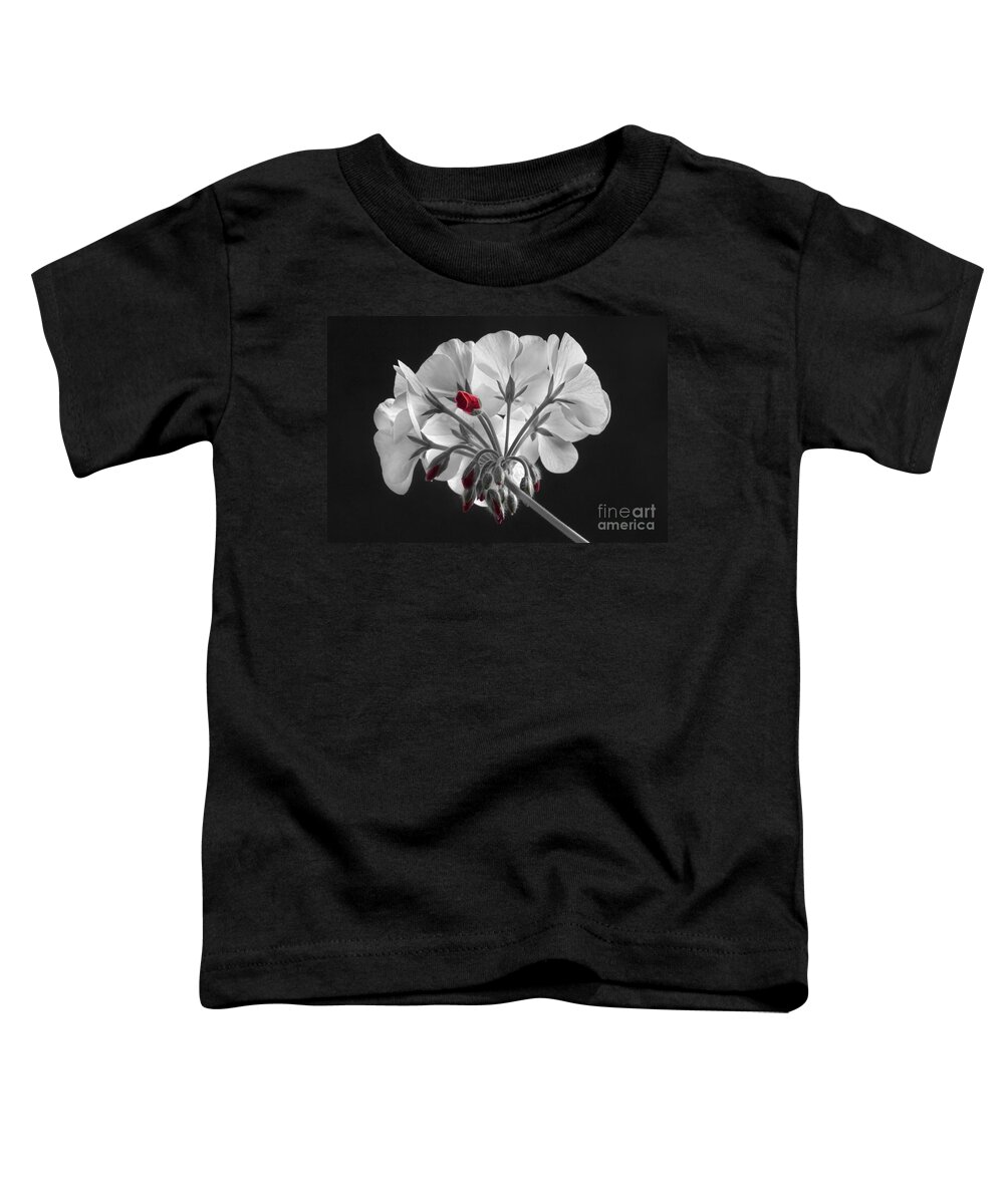 'red Geranium' Toddler T-Shirt featuring the photograph Geranium Flower In Progress by James BO Insogna