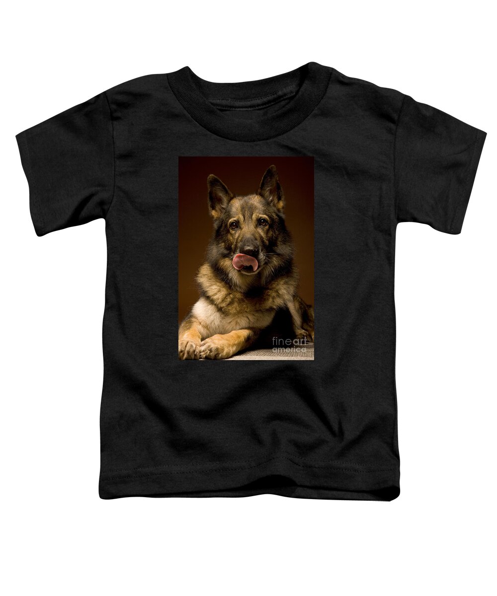 German Shepherd Toddler T-Shirt featuring the photograph German Shepherd Dog by Wolfgang Herath