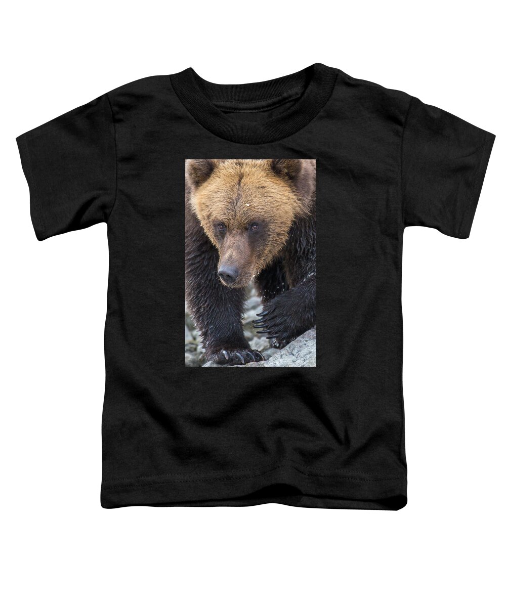 Bear Toddler T-Shirt featuring the photograph Glacier's Edge by Kevin Dietrich