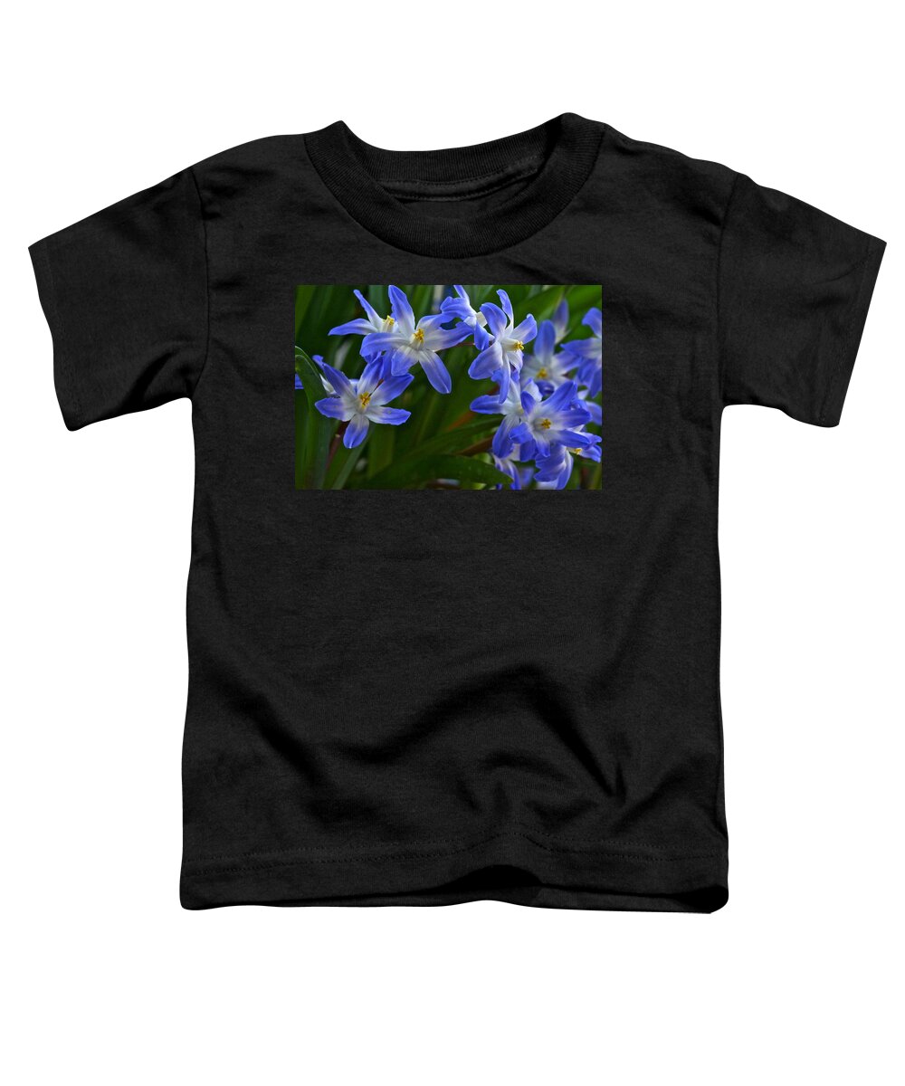 Glory Of The Snow Toddler T-Shirt featuring the photograph Glories of the Snow by Byron Varvarigos