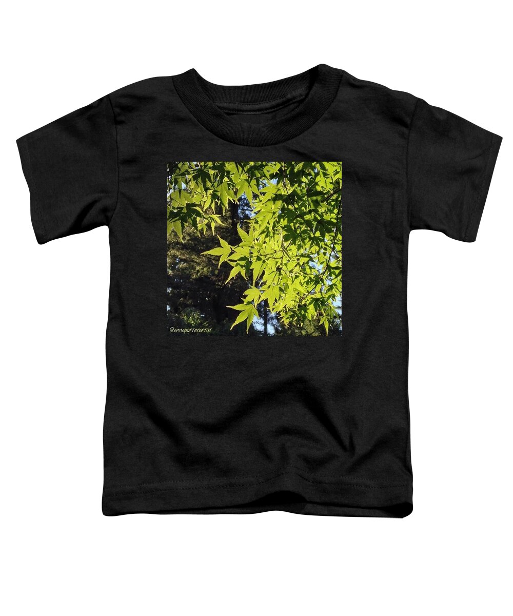 Glowing Toddler T-Shirt featuring the photograph Glowing Greens My Favorite Maple Tree by Anna Porter