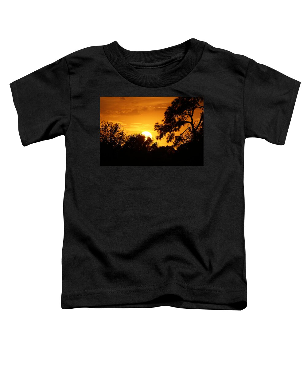 Golden Sun Toddler T-Shirt featuring the photograph Golden Sunset by Chauncy Holmes