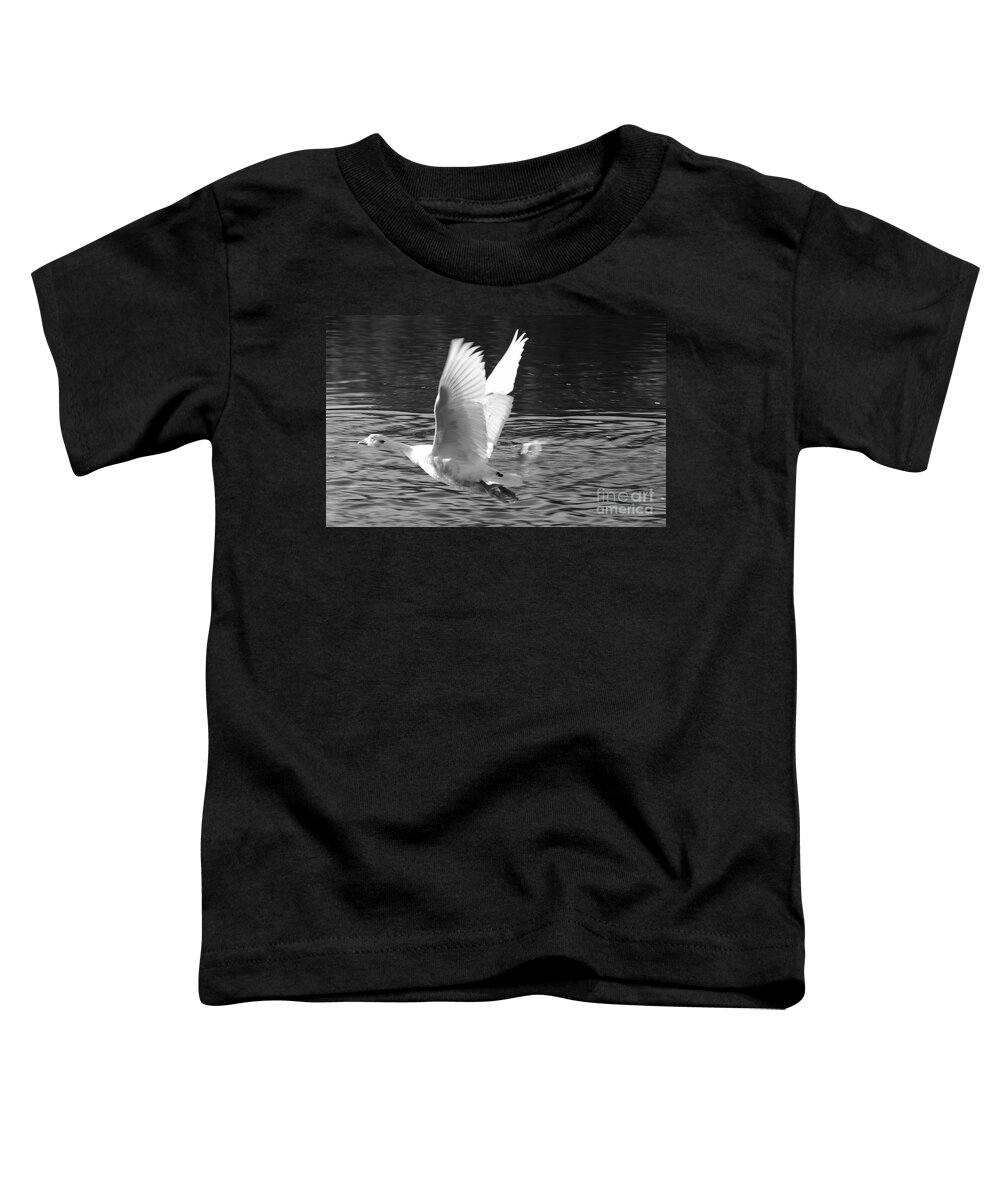 St James Lake Toddler T-Shirt featuring the photograph Goose Flight by Jeremy Hayden
