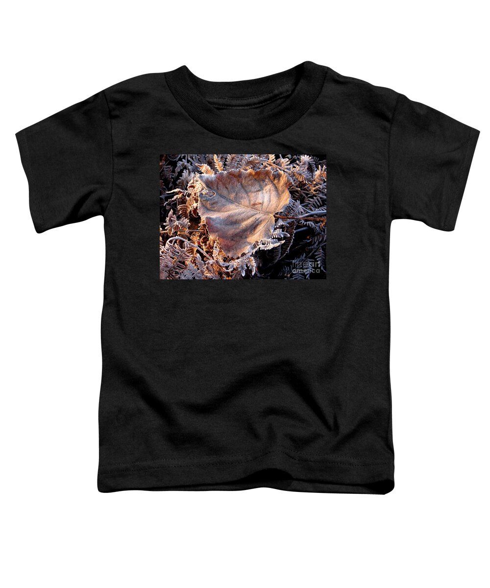 Fall Toddler T-Shirt featuring the photograph Graced By Frost by Rory Siegel