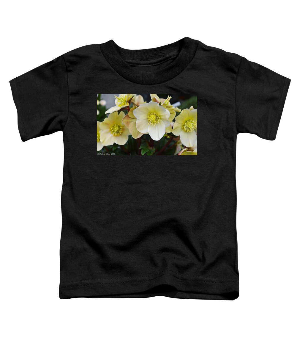 Heleborus Toddler T-Shirt featuring the photograph Graceful by Felicia Tica