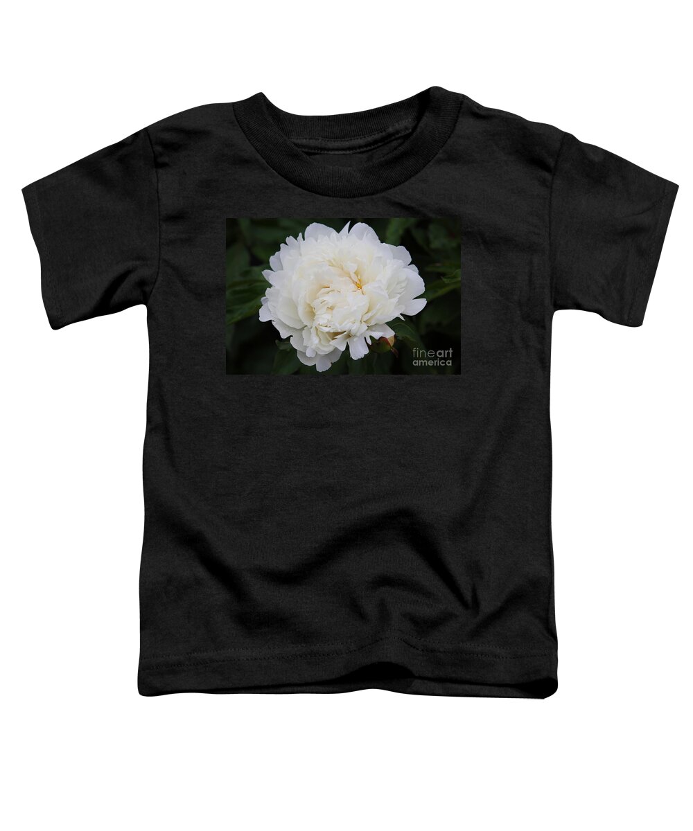 White Flower Toddler T-Shirt featuring the photograph Grandma's Peony by Elizabeth Winter