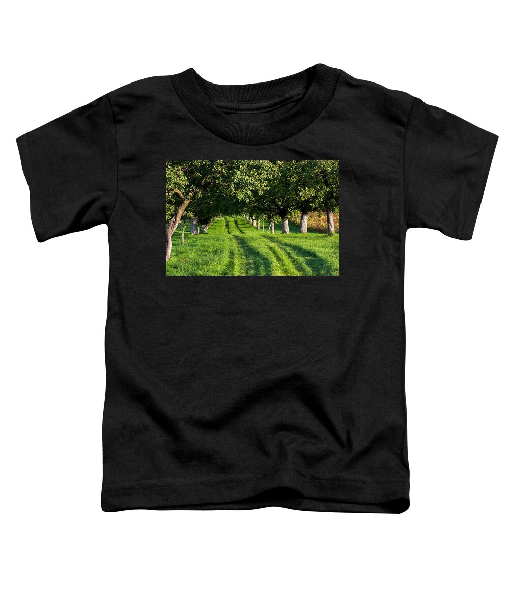 Alley Toddler T-Shirt featuring the photograph Grassy Street Through Alley by Andreas Berthold