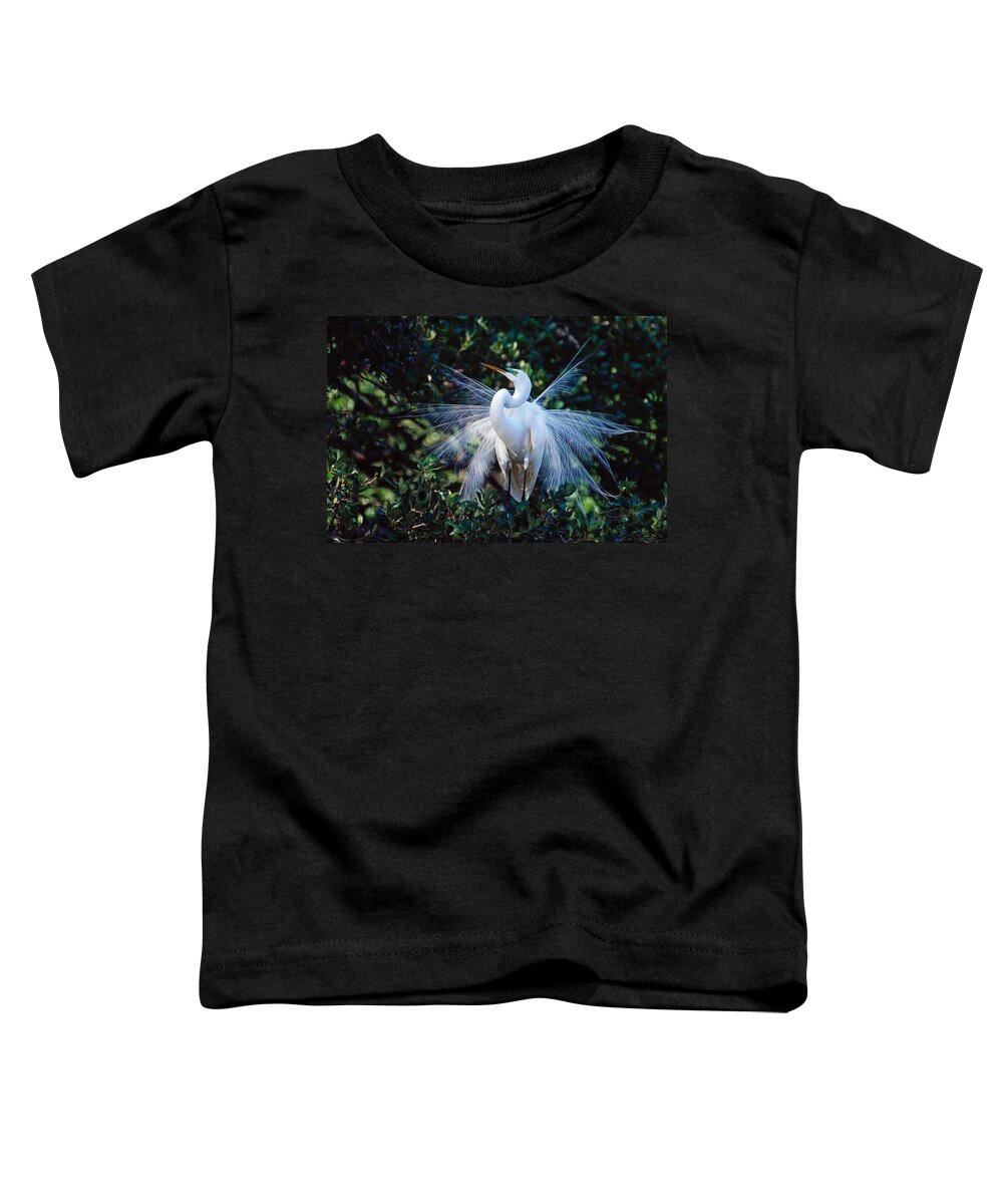 Great Egret Toddler T-Shirt featuring the photograph Great Egret displaying plumes by Bradford Martin