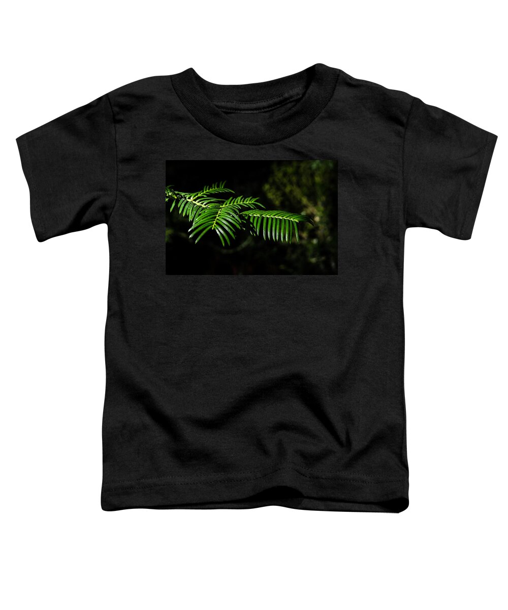 Background Toddler T-Shirt featuring the photograph Green furry paw by Michael Goyberg