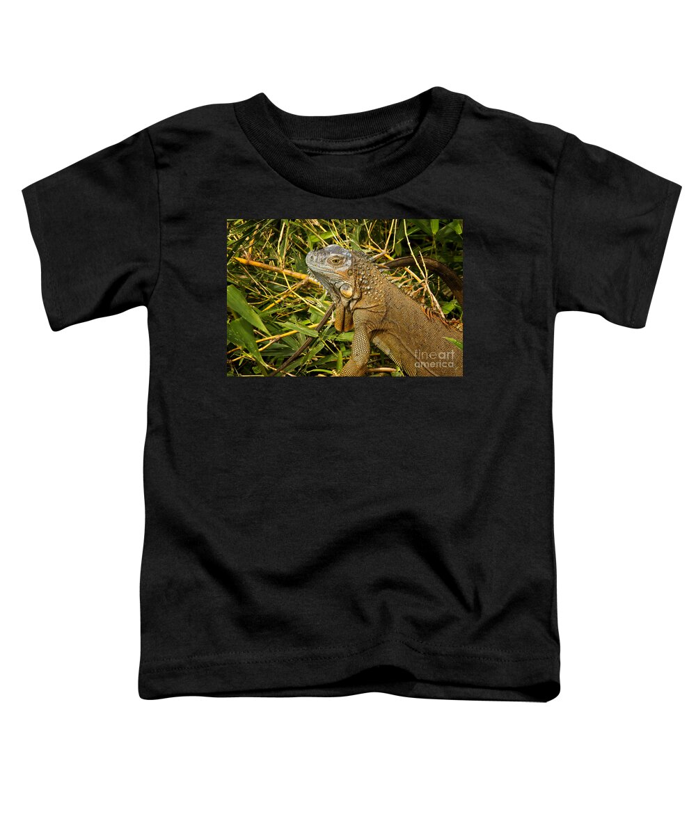Iguana Toddler T-Shirt featuring the photograph Green Iguana Costa Rica by Carrie Cranwill