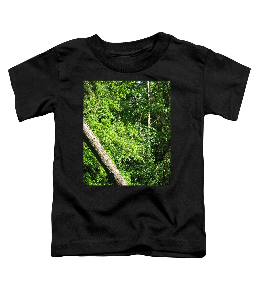 Trees Toddler T-Shirt featuring the photograph Greenbelt Fall by David Trotter